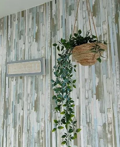 Apartment Kailani Tacoronte *