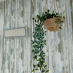 Apartament Kailani Tacoronte *