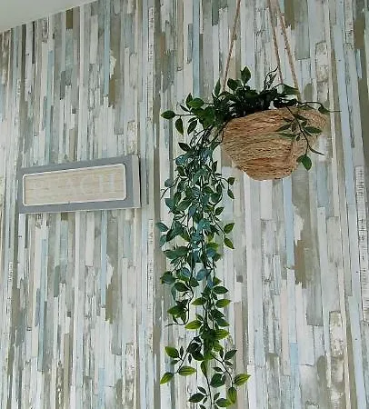 Apartmán Kailani Tacoronte *